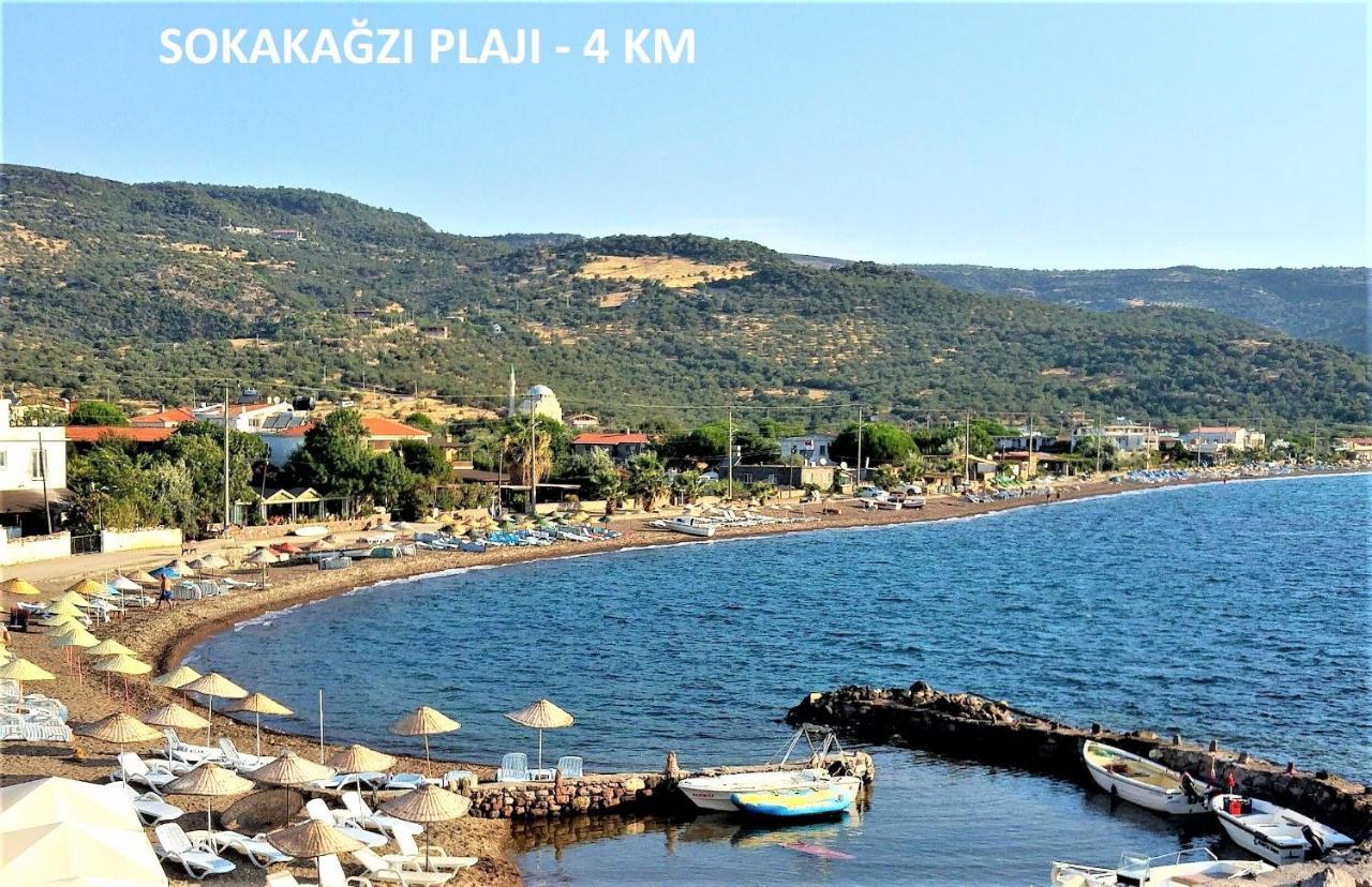 Penzion Alterna Koey Evi Ayvacik Exteriér fotografie