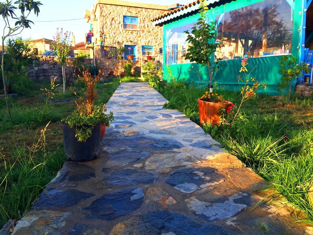 Penzion Alterna Koey Evi Ayvacik Exteriér fotografie