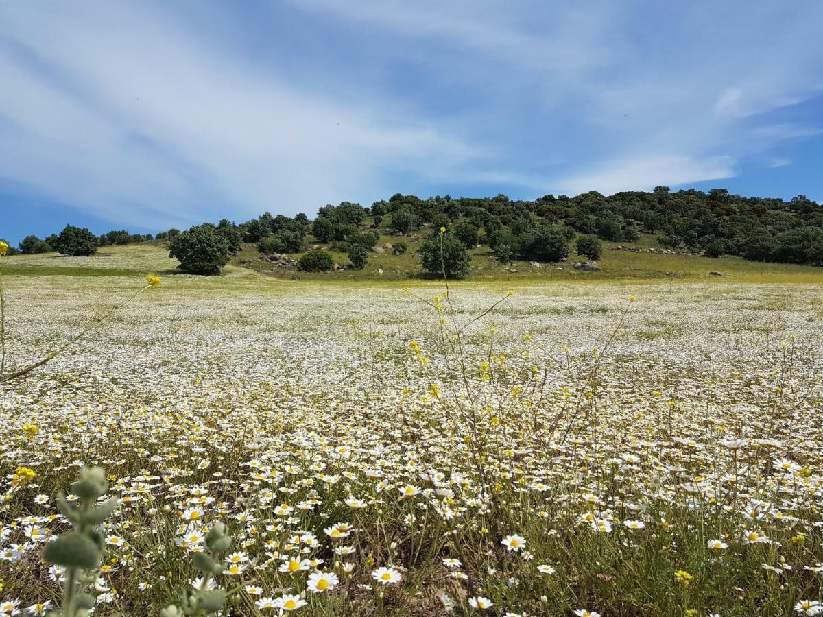 Penzion Alterna Koey Evi Ayvacik Exteriér fotografie