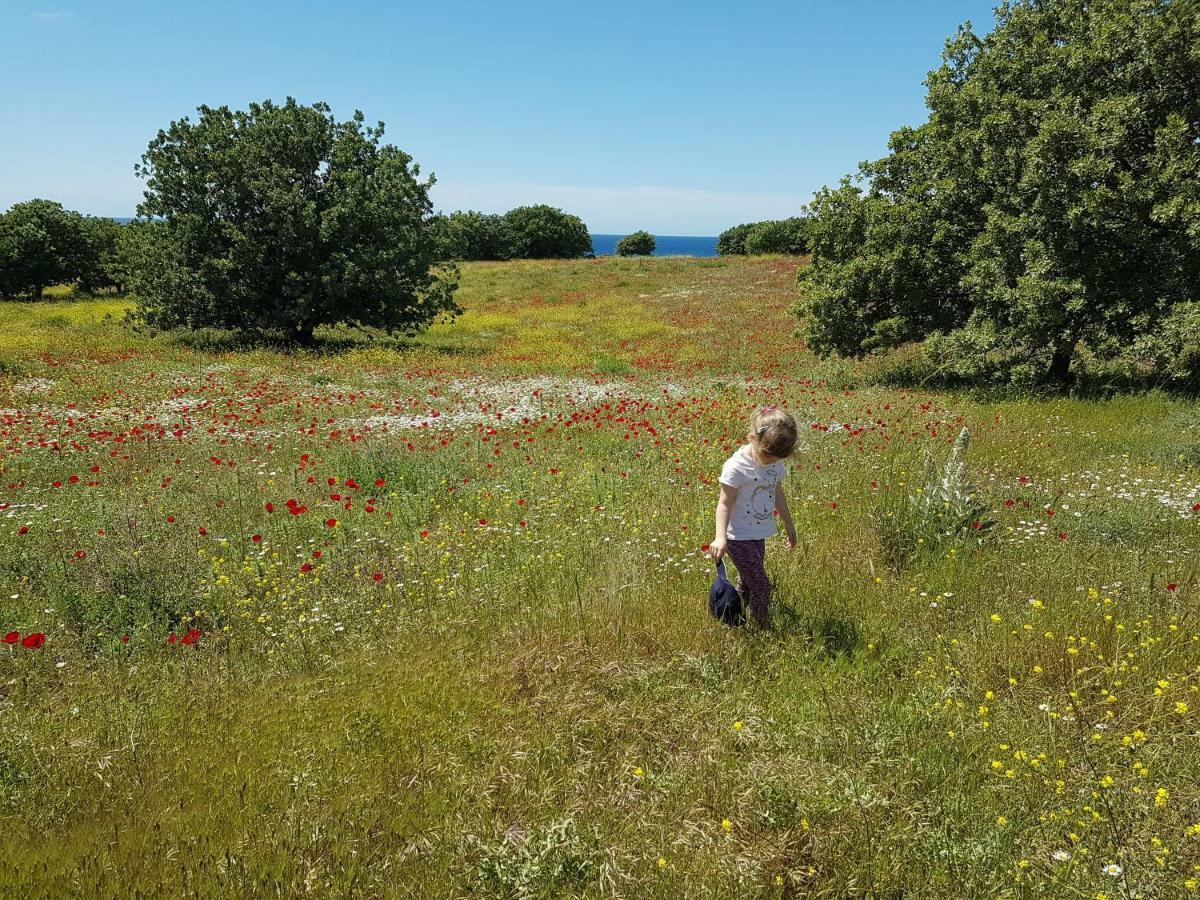 Penzion Alterna Koey Evi Ayvacik Exteriér fotografie